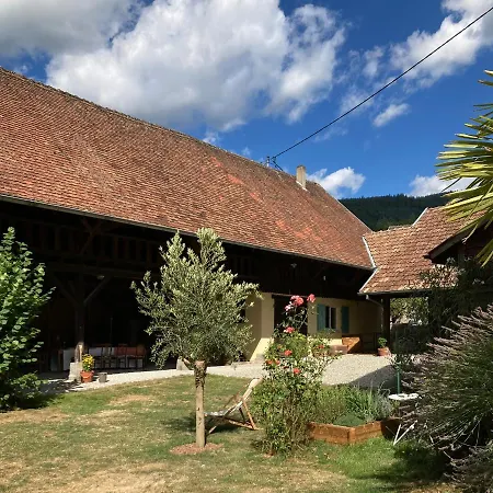 Gite Du Hibou - Jolie Dependance Sur Verger Muhlbach-sur-Munster Exterior foto