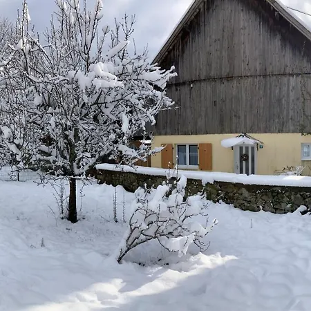 Gite Du Hibou - Jolie Dependance Sur Verger Muhlbach-sur-Munster Exterior foto