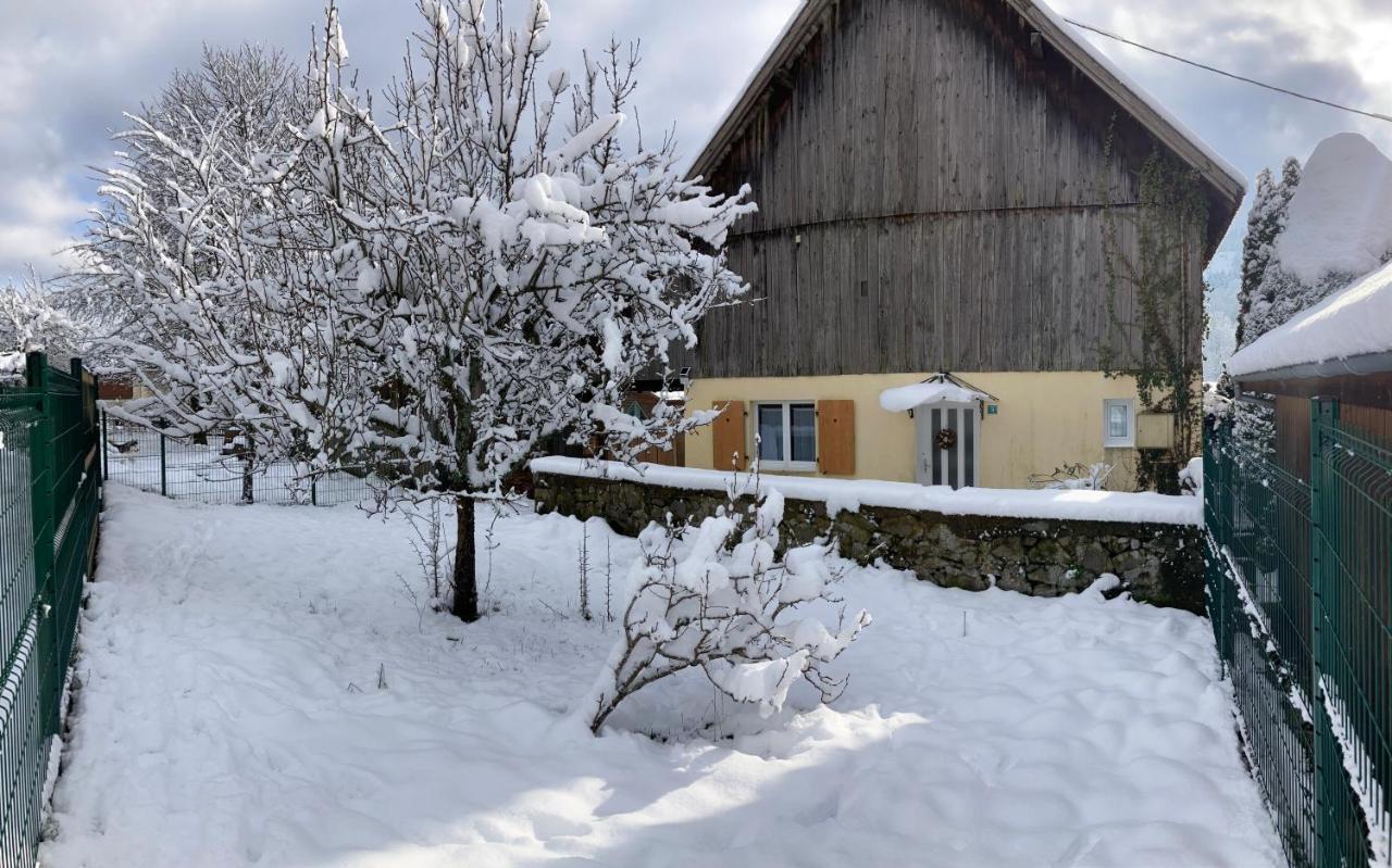 Du Hibou - Jolie Dependance Sur Verger Holiday home *