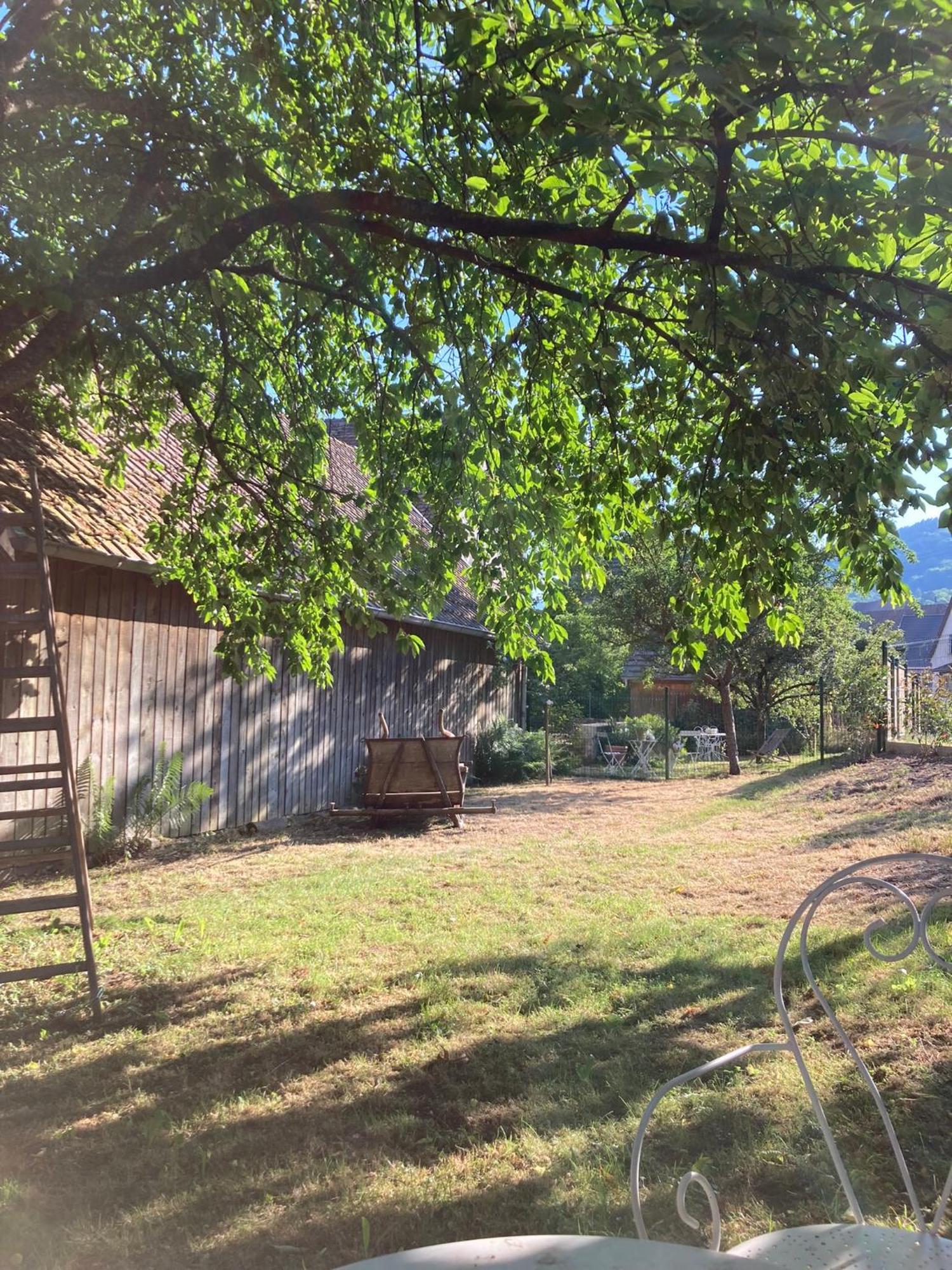 Holiday home Du Hibou - Jolie Dependance Sur Verger Muhlbach-sur-Munster